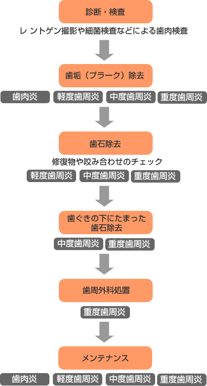 歯周病治療の流れ